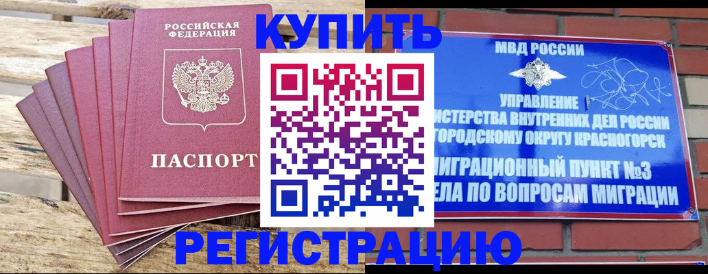 прописка 2025 в Новороссийске